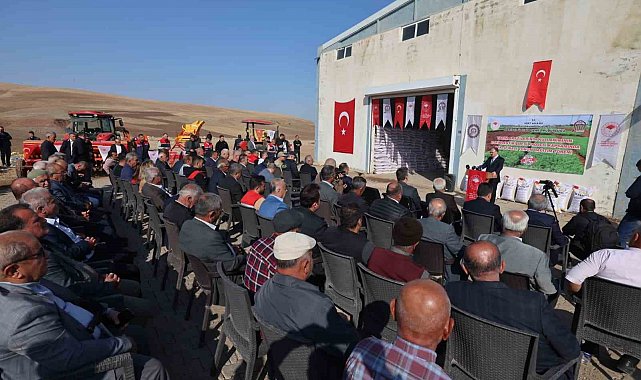 Siirt'te 203 ton kırmızı mercimek çiftçilere dağıtıldı