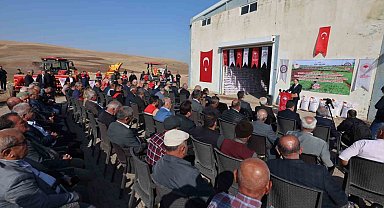 Siirt'te 203 ton kırmızı mercimek çiftçilere dağıtıldı