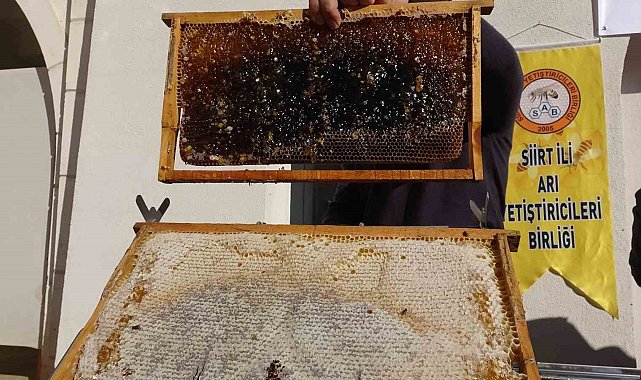 Siirt'te arıcılara 268 milyon 765 bin liralık destek
