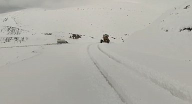 Siirt'te karda araçlar yolda mahsur kaldı
