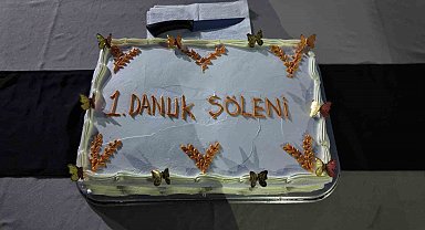 Siirt'te koruma altındaki çocuklarla "Danuk Şöleni"