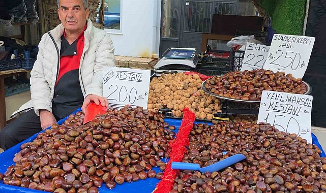 Simav kestanesi kış aylarının gözdesi