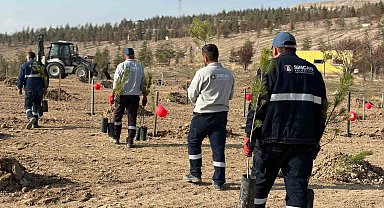 Sincan Belediyesi'nden kadına yönelik şiddete karşı anlamlı etkinlik