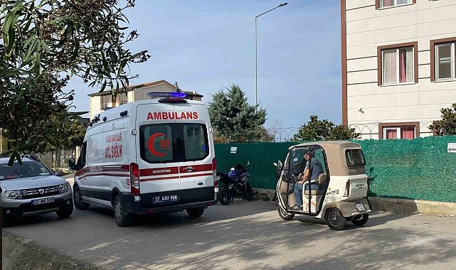 Sinop'ta ağaç budarken düşen vatandaş yaralandı
