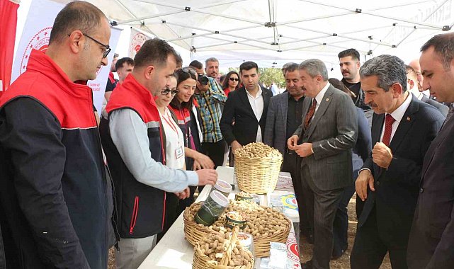 Şırnak'ta 25 bin ton yer fıstığı rekoltesi bekleniyor