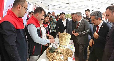 Şırnak'ta 25 bin ton yer fıstığı rekoltesi bekleniyor