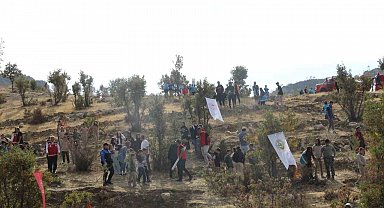 Şırnak'ta "Adliye Hatıra Ormanı" kuruldu