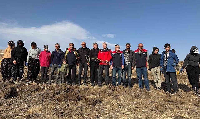 Sivas'ta meralar on binlerce tuz çalısı ile yeşerecek