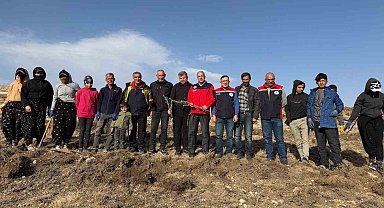 Sivas'ta meralar on binlerce tuz çalısı ile yeşerecek