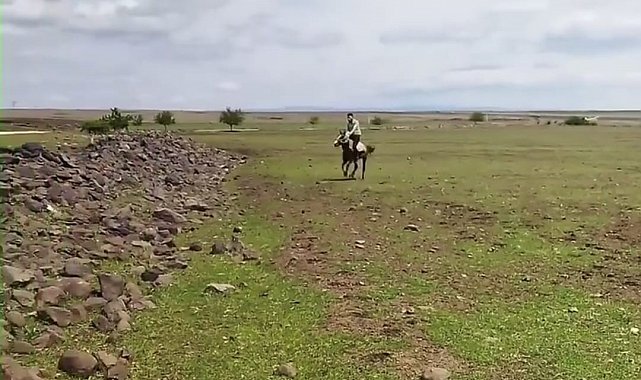 Siverek'te ilginç anlar kameraya yansıdı