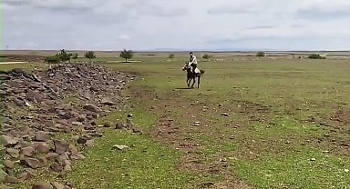 Siverek'te ilginç anlar kameraya yansıdı