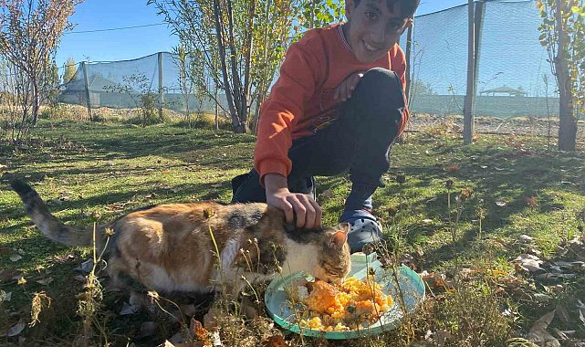 Sokak hayvanlarını elleriyle besliyor, onlara yuva oluyor