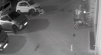 Sokak köpekleri park halindeki aracı parçaladı: O anlar kamerada