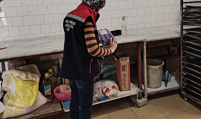 Söke'de gıda işletmelerine sıkı denetim