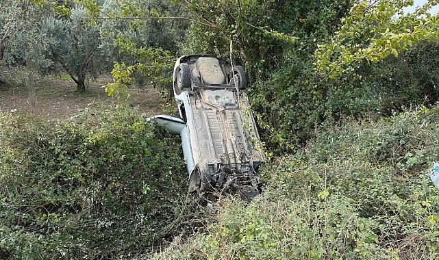Sollama yaparken zeytinliğe uçtu