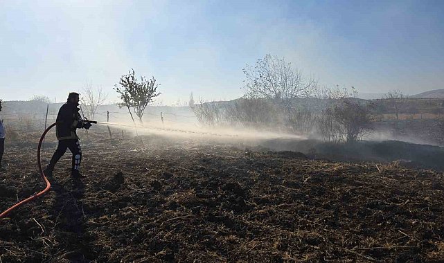 Tarlada çıkan yangın söndürüldü