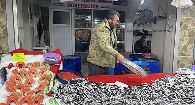 Tavşanlı balık pazarında en çok hamsi ilgi görüyor