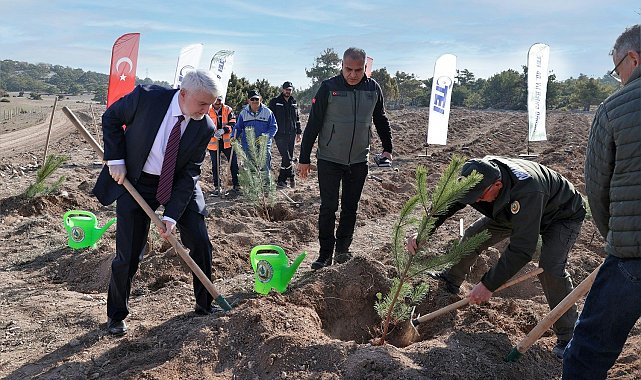 TEI'den 17 bin fidanlık 40. Yıl Hatıra Ormanı