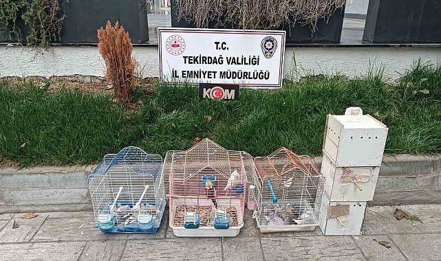 Tekirdağ'da yasa dışı hayvan üretimine ağır ceza