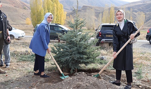 Tercan'da fidanlar toprakla buluştu
