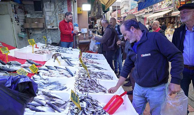 Tezgahlarda hamsi bolluğu