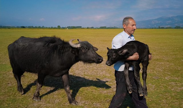 Tokatlı fırın ustasının Paris'teki ödül sevinci vize engeline takıldı