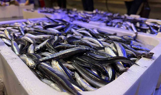 Trabzon'dan gelen taze balıklar Erzincan'da ilgi görüyor