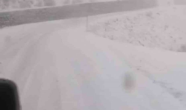 Tunceli'de, kar yağar yağmaz mücadele başladı