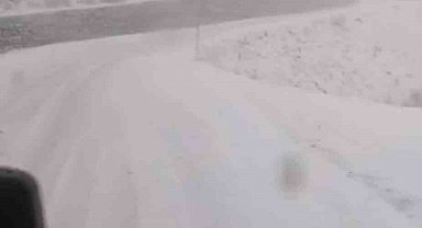 Tunceli'de, kar yağar yağmaz mücadele başladı