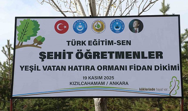 Türk Eğitim-Sen Genel Başkanı Geylan: "Maalesef her yıl on binlerce hektarımız yanıyor"