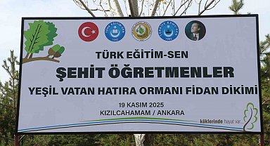 Türk Eğitim-Sen Genel Başkanı Geylan: "Maalesef her yıl on binlerce hektarımız yanıyor"