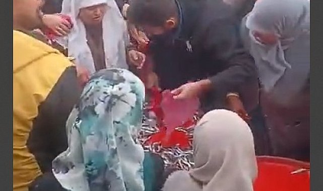 Ücretsiz hamsi dağıtımı yoğun ilgi gördü