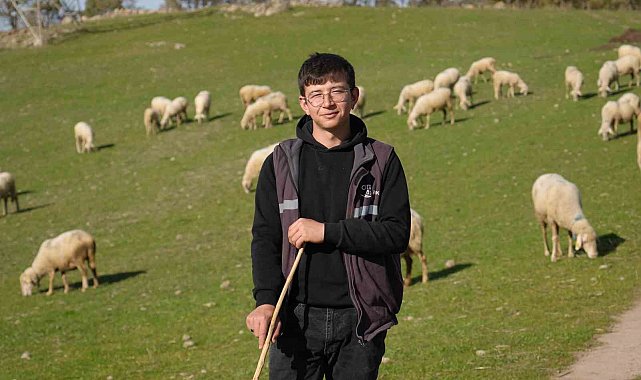 Üniversiteyi okudu, baba ocağına dönüp sürü sahibi oldu