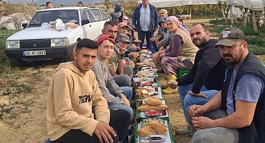 Üzüm alıcısından işçilere ziyafet