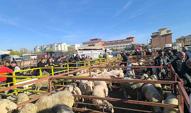 Uzun süredir kapalı olan canlı hayvan pazarı açıldı