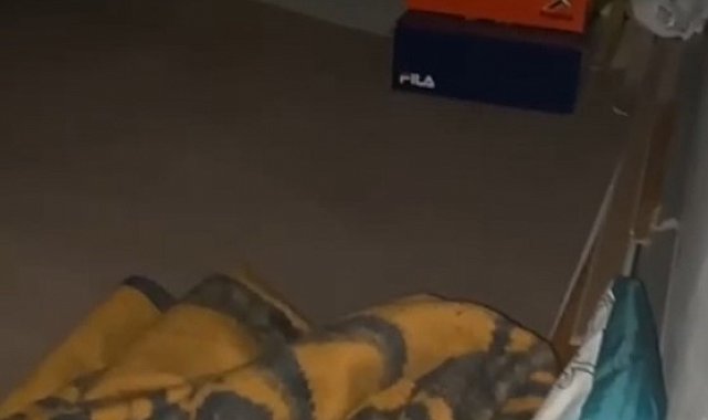 Van'da 12,5 yıl kesinleşmiş hapis cezası bulunan müdür gizli bölmede yakalandı