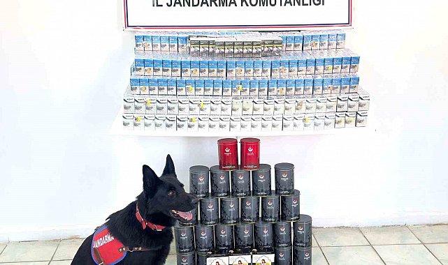 Van'da kaçak sigara ve çay ele geçirildi