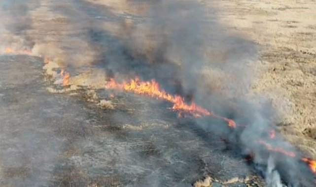 Van'da sazlık yangını
