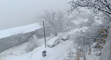 Van'ın Bahçesaray ilçesinde kar etkili oldu