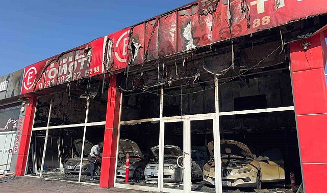 Yakalanan kundakçı suçunu itiraf etti