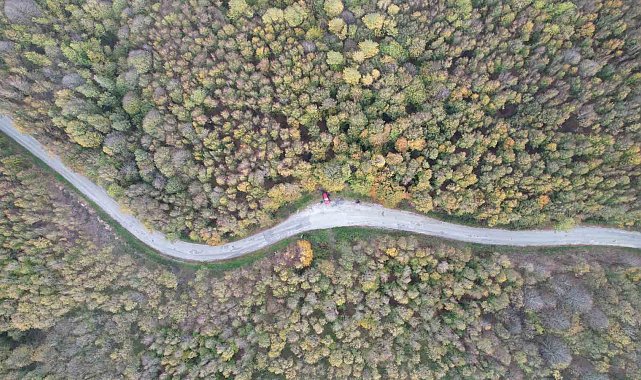 Yalova ormanlarında sonbahar güzelliği