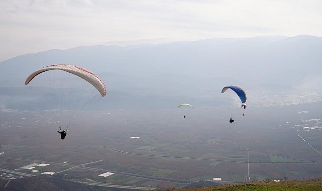 Yanan ormanlar için gökyüzünden paraşütle tohum yağdı