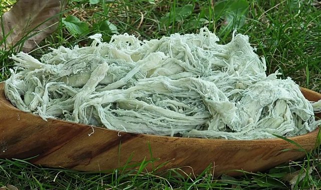 Yayladan sofraya doğal antibiyotik: Erzurum'un göğermiş peyniri
