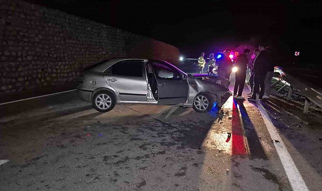 Yola çıkan yaban hayvanı kazaya neden oldu: 4 yaralı