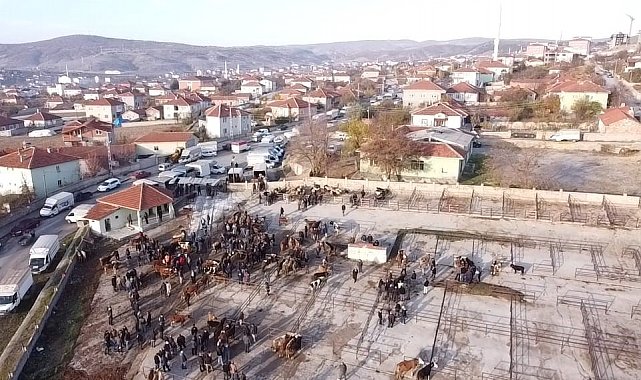 Yozgat'ta 2 aydır kapalı olan hayvan pazarı açıldı