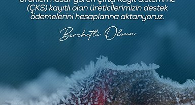 Zirai don nedeniyle ürünleri hasar gören çiftçilere 798 milyon lira destek ödemesi yapıldı