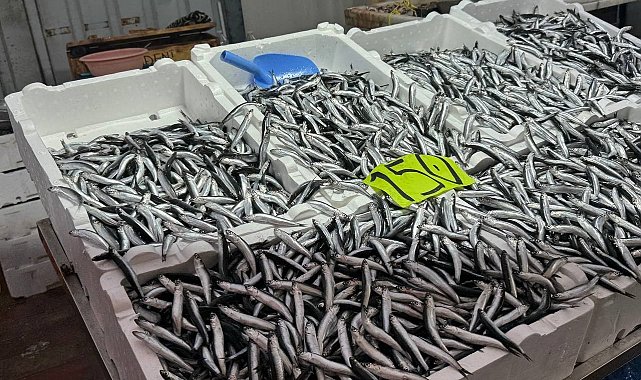 Zonguldak'ta hava şartları hamsi fiyatını yükseltti