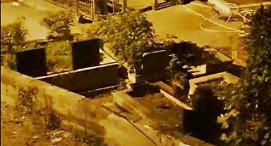 Zonguldak'ta mezarlıkta iki ayı yavrusu görüldü