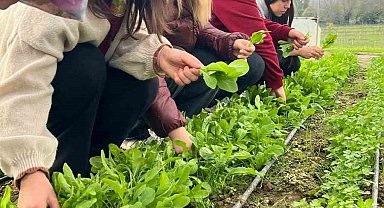 Zonguldak'ta Tarım Lisesi öğrencileri, uygulamalı eğitimde hasat yaptı