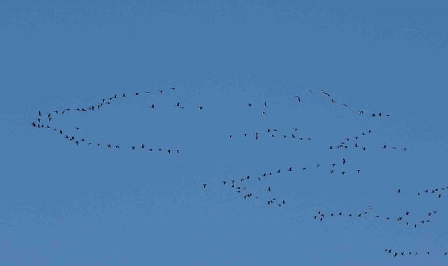 Zorlu göçün durağı Erçek Gölü